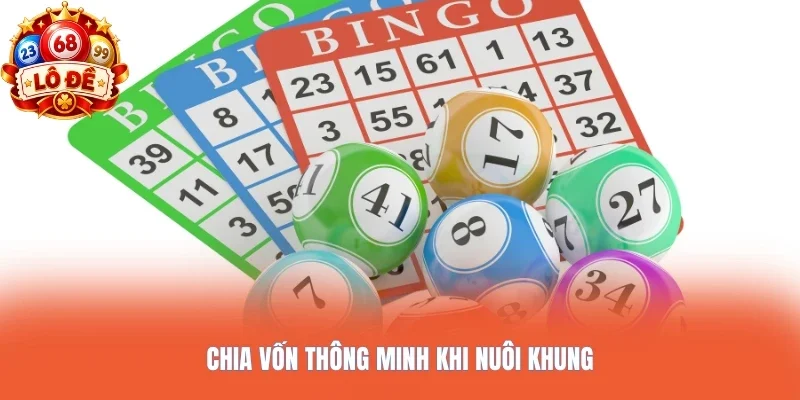 Chia vốn thông minh khi nuôi khung