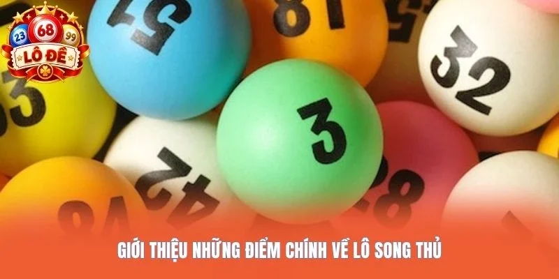 Giới thiệu những điểm chính về lô song thủ