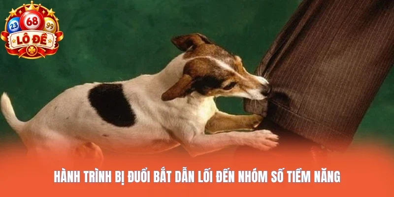 Hành trình bị đuổi bắt dẫn lối đến nhóm số tiềm năng