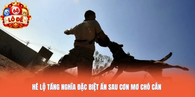 Hé lộ tầng nghĩa đặc biệt ẩn sau cơn mơ chó cắn
