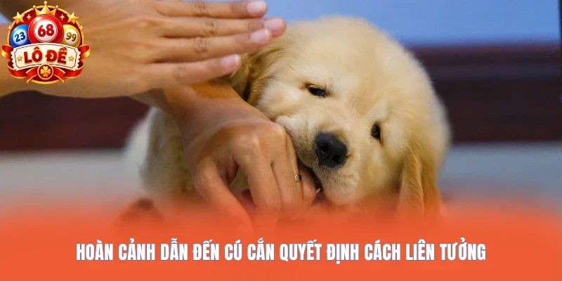 Hoàn cảnh dẫn đến cú cắn quyết định cách liên tưởng