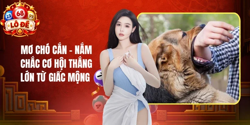Mơ Chó Cắn - Nắm Chắc Cơ Hội Thắng Lớn Từ Giấc Mộng