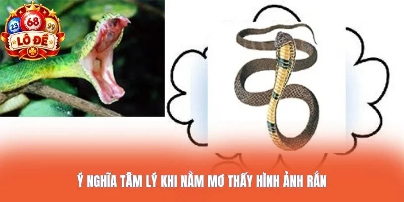 Ý nghĩa tâm lý khi nằm mơ thấy hình ảnh rắn